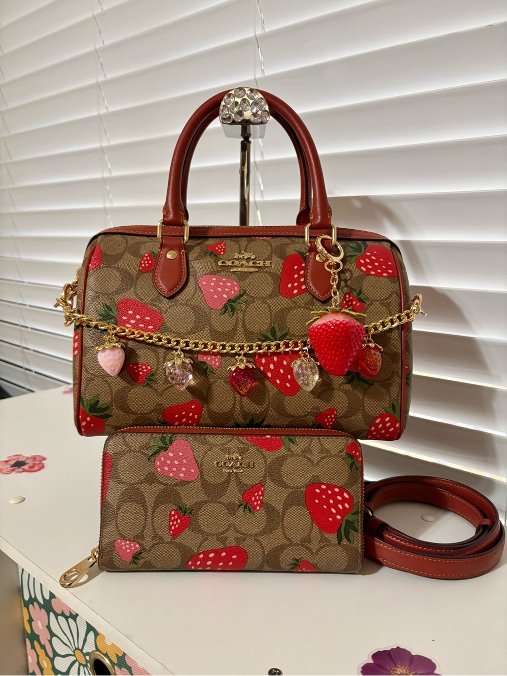 🍓Coach Rowan Satchel Bag Set Strawberry Print